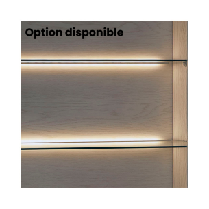 OPTION ECLAIRAGE LEDS