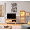 MEUBLE TV OLONNE 140