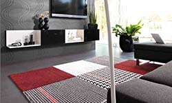 Tapis de salon