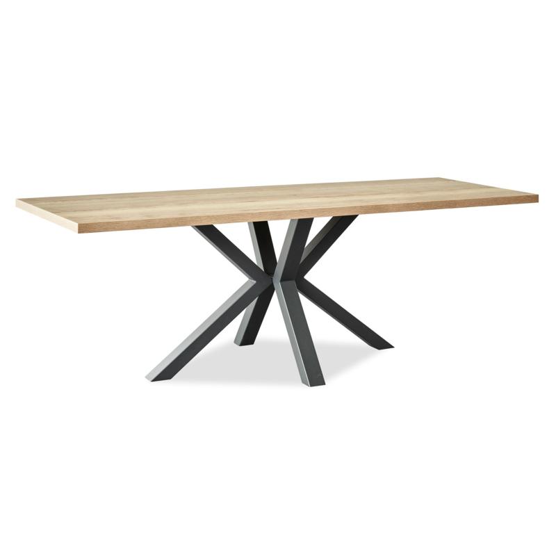 TABLE RECTANGLE FIXE EN 2M20