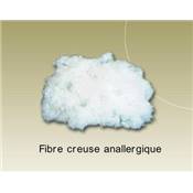 Oreiller fibre creuse tissu microfibre